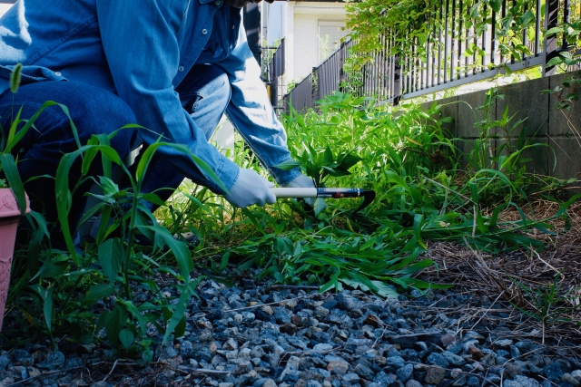 お庭の草刈り・雑草対策